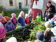 Sklízíme úrodu na školní zahrádce